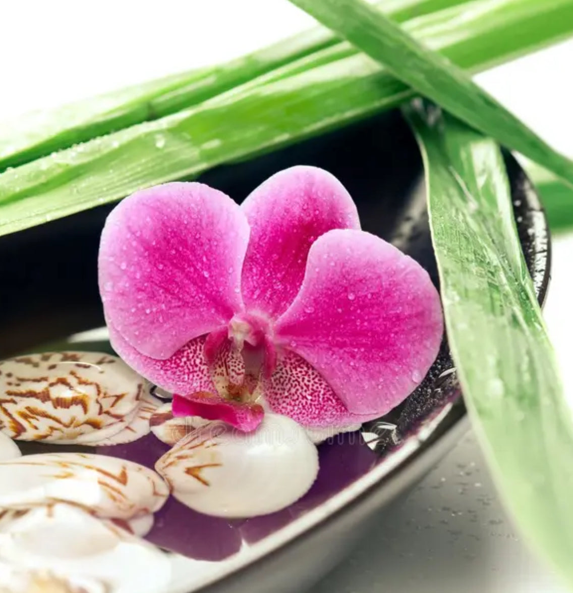 Aroma Fabiola 200cc
