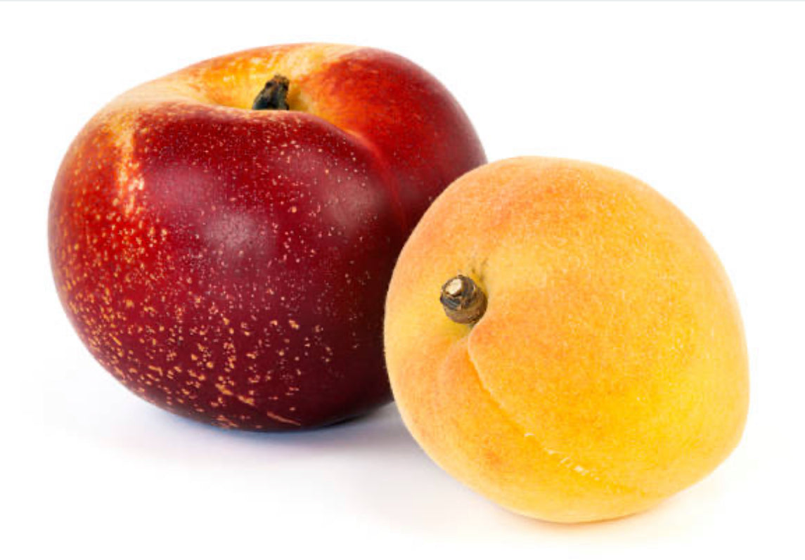 Necterine y Albaricoque