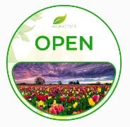 NORWEGIAN WOOD 200cc